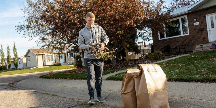 Collected branches and leaves ready for yard-waste removal